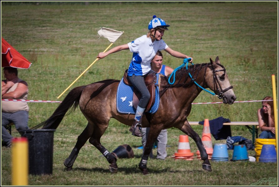 Mounted Games 295